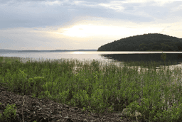 Arkansas trails