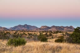 Arizona trails