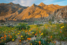 California trails