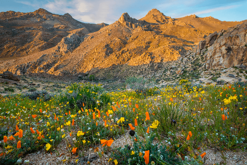 California dirtbike trails