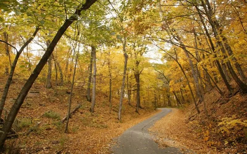 Illinois dirtbike trails