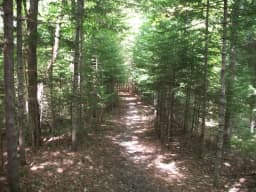 Maine trails