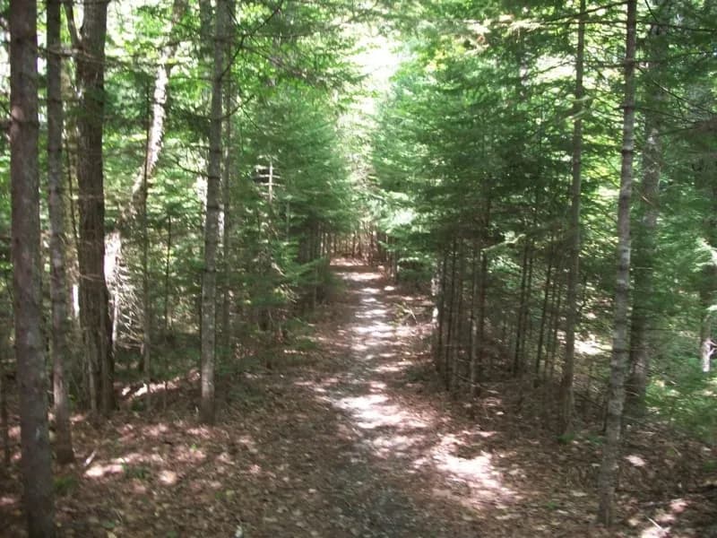 Maine dirtbike trails