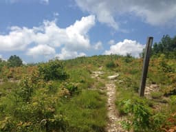 North Carolina trails