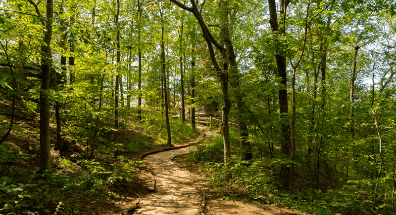 Tennessee dirtbike trails