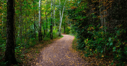 Virginia trails