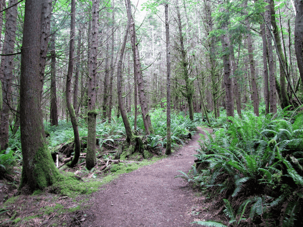 Washington dirtbike trails