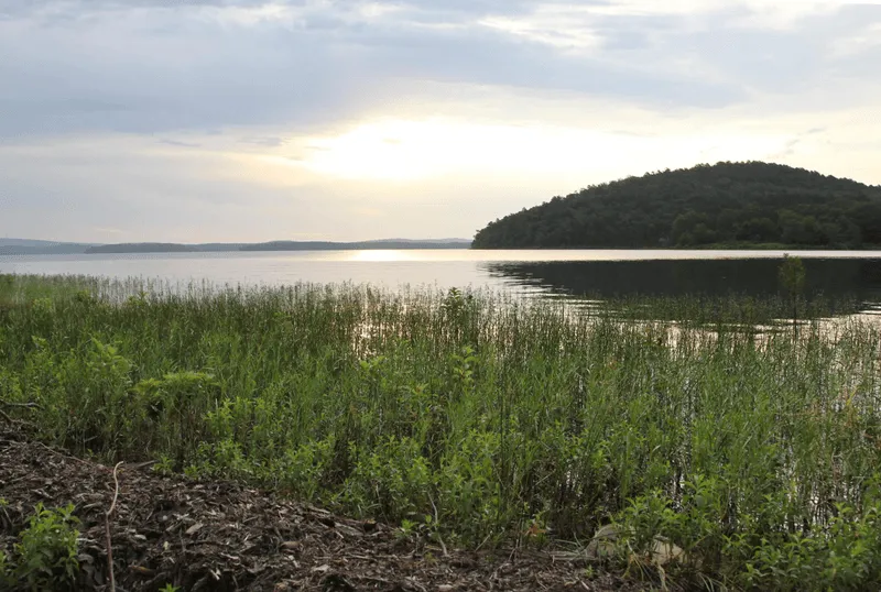 Arkansas dirtbike trails