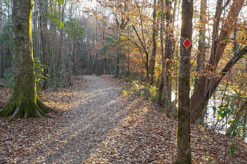Louisiana dirtbike trails