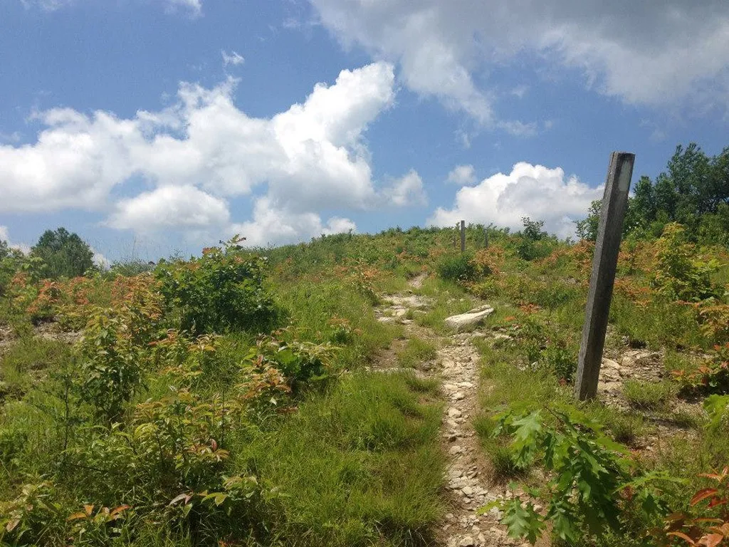 North Carolina dirtbike trails