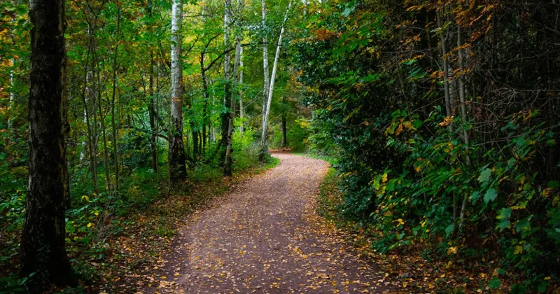 Virginia dirtbike trails